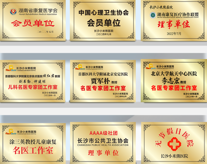 荣誉资质